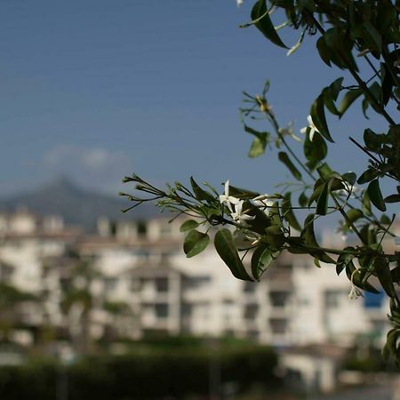 Cozy Apartment Banus マルベーリャ エクステリア 写真