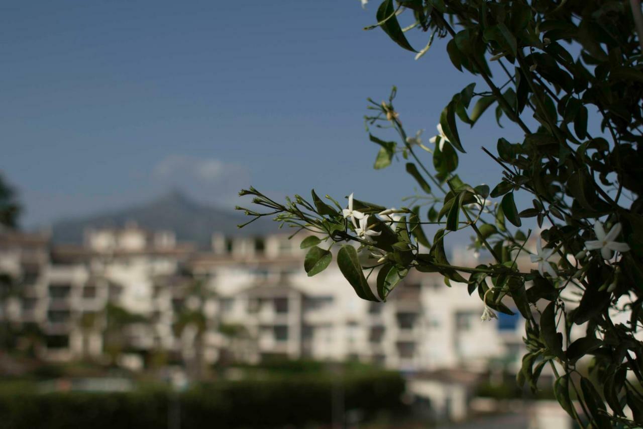 Cozy Apartment Banus マルベーリャ エクステリア 写真